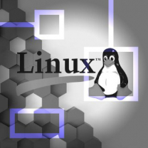 Linux разработает ПО для цифровых кошельков