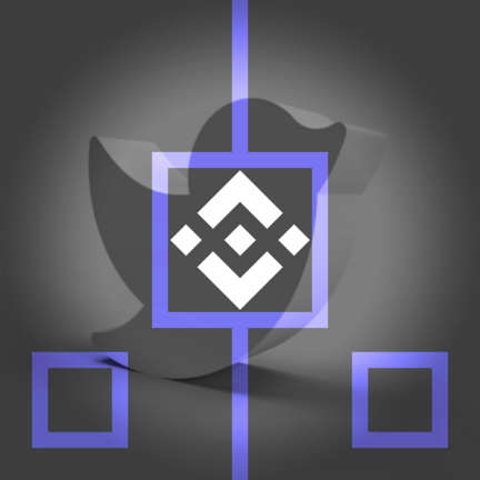 Binance поможет Илону Маску в создании стратегии для управления Twitter