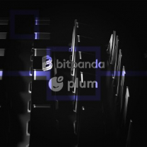 Компания Bitpanda объявила о сотрудничестве с Plum