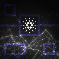 Число смарт-контрактов в сети Cardano выросло на 300%