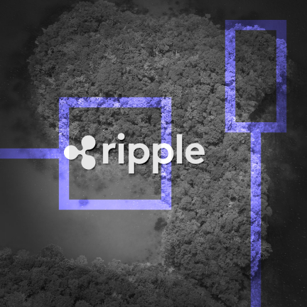 Ripple сообщила о работе над национальным стейблкоином для Республики Палау