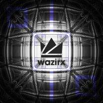 Криптобиржа WazirX опубликовала отчет о своих резервах