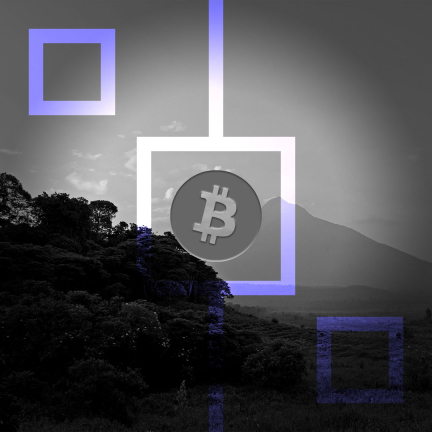 Национальный парк Вирунга начал майнинг биткоина