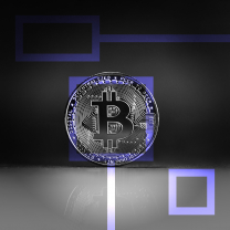Bitcoin популярнее Дональда Трампа и срочных новостей в США, показала статистика