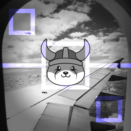 Мемными токенами теперь можно оплачивать рейсы более чем 650 авиакомпаний