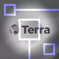 До Квон продолжит работу над Terra, чтобы возместить потери вкладчиков