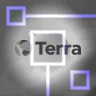 До Квон продолжит работу над Terra, чтобы возместить потери вкладчиков