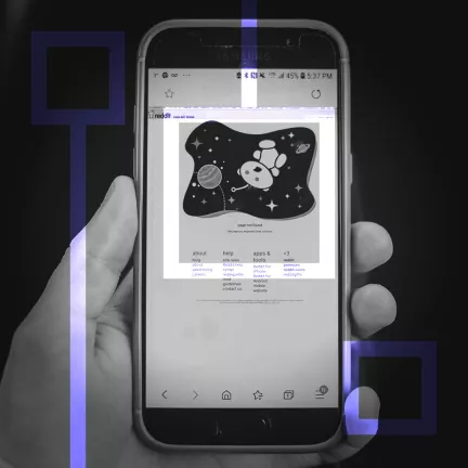 OpenSea заполонили поддельные NFT Reddit
