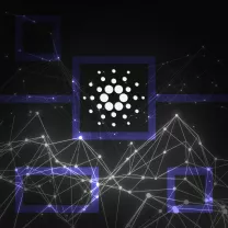 Число смарт-контрактов в сети Cardano выросло на 300%