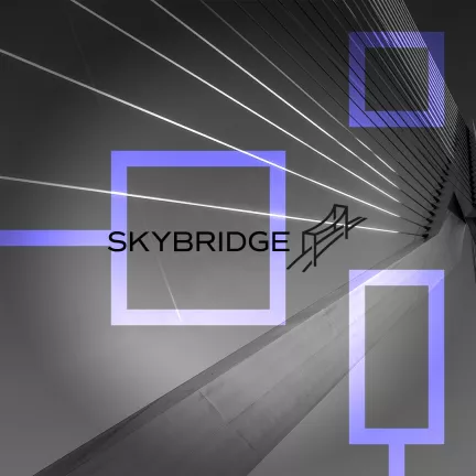 SkyBridge рассматривает возможность выкупа акций у FTX