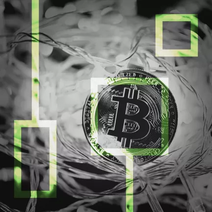 Инвестиционный директор Bitwise Investments советует покупать Bitcoin